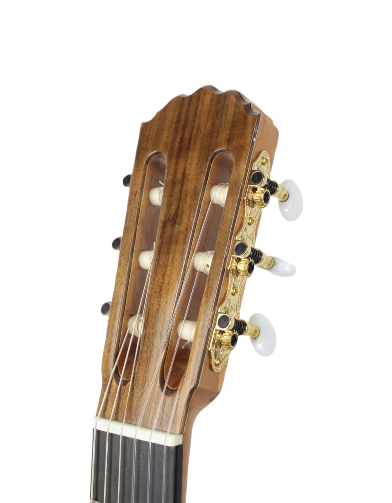 Guitar - BU Guitar - BU - Image 4