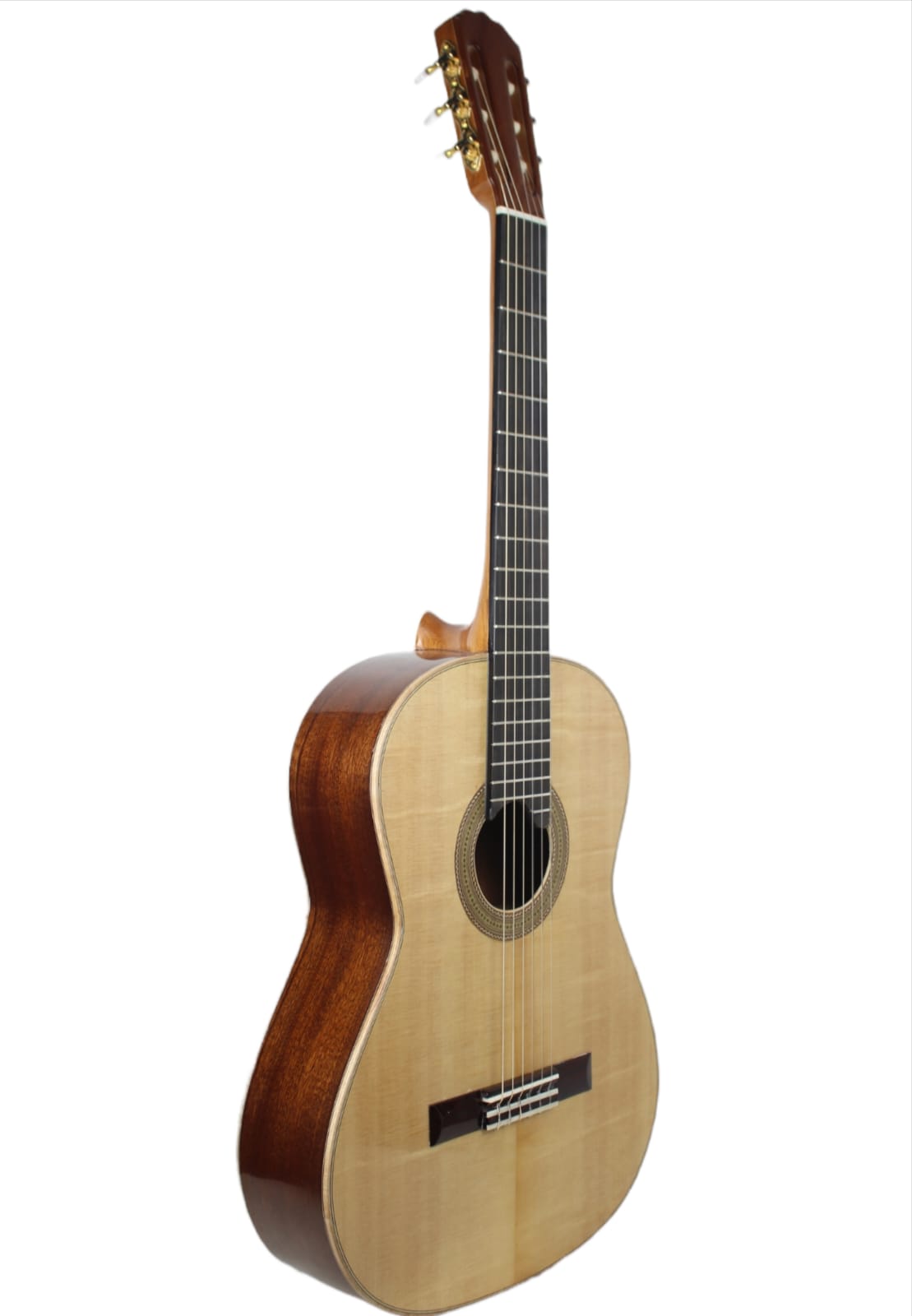 Guitar - BU Guitar - BU
